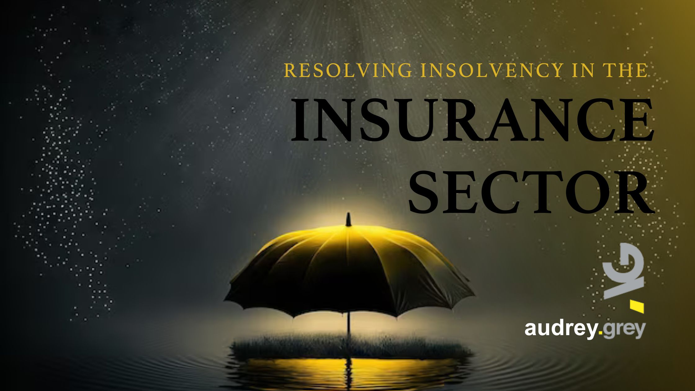 Resolving Insolvency in the Insurance Sector 2